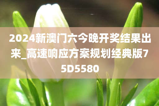 2024新澳门六今晚开奖结果出来_高速响应方案规划经典版75D5580