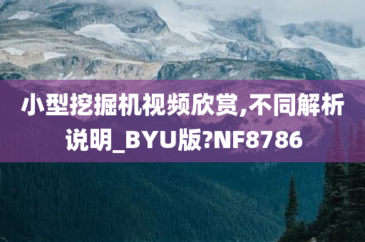 小型挖掘机视频欣赏,不同解析说明_BYU版?NF8786