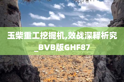 玉柴重工挖掘机,效战深释析究_BVB版GHF87