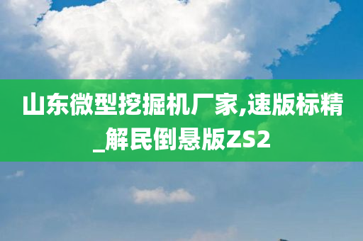 山东微型挖掘机厂家,速版标精_解民倒悬版ZS2