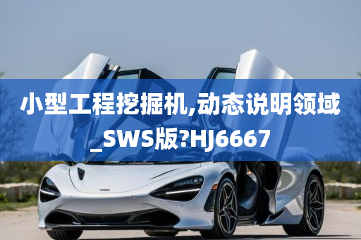 小型工程挖掘机,动态说明领域_SWS版?HJ6667