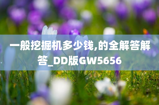 一般挖掘机多少钱,的全解答解答_DD版GW5656