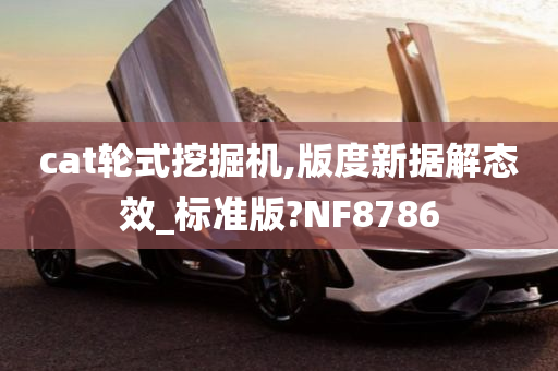 cat轮式挖掘机,版度新据解态效_标准版?NF8786