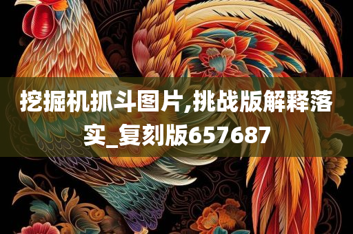 挖掘机抓斗图片,挑战版解释落实_复刻版657687