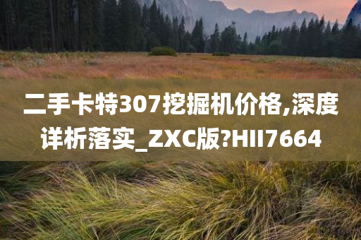 二手卡特307挖掘机价格,深度详析落实_ZXC版?HII7664