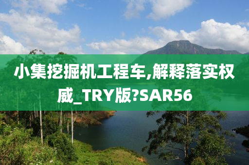 小集挖掘机工程车,解释落实权威_TRY版?SAR56