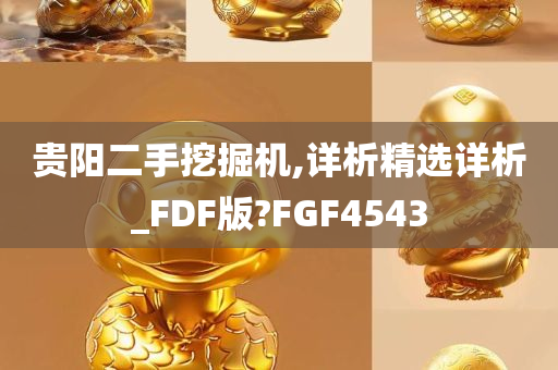 贵阳二手挖掘机,详析精选详析_FDF版?FGF4543