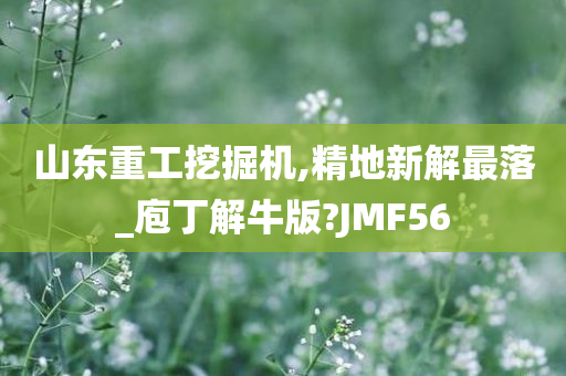 山东重工挖掘机,精地新解最落_庖丁解牛版?JMF56