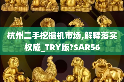 杭州二手挖掘机市场,解释落实权威_TRY版?SAR56