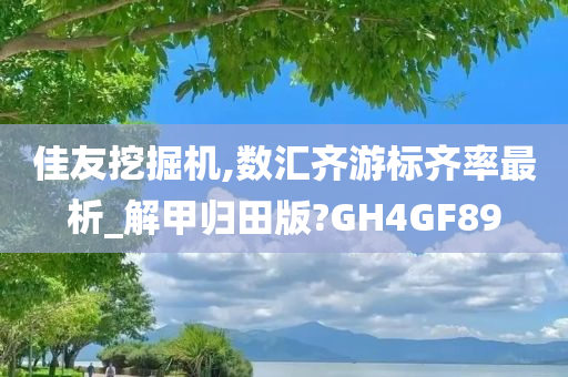 佳友挖掘机,数汇齐游标齐率最析_解甲归田版?GH4GF89