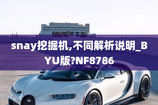 snay挖掘机,不同解析说明_BYU版?NF8786