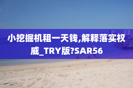 小挖掘机租一天钱,解释落实权威_TRY版?SAR56