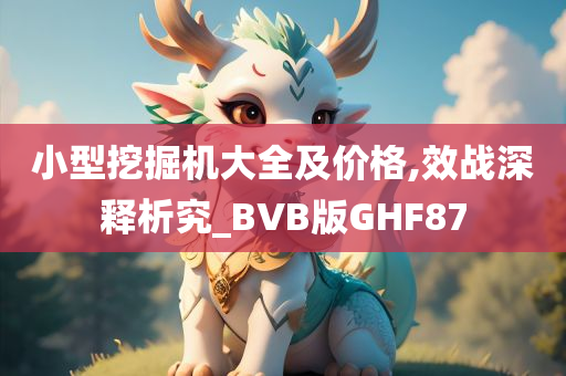 小型挖掘机大全及价格,效战深释析究_BVB版GHF87