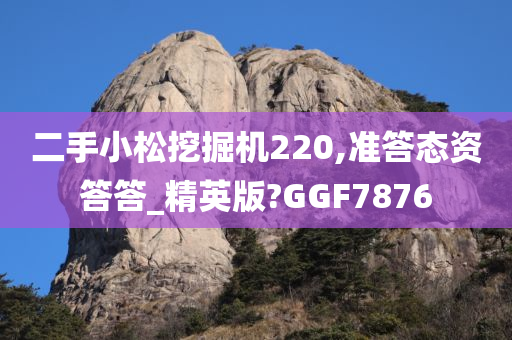 二手小松挖掘机220,准答态资答答_精英版?GGF7876