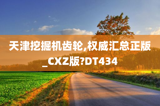 天津挖掘机齿轮,权威汇总正版_CXZ版?DT434