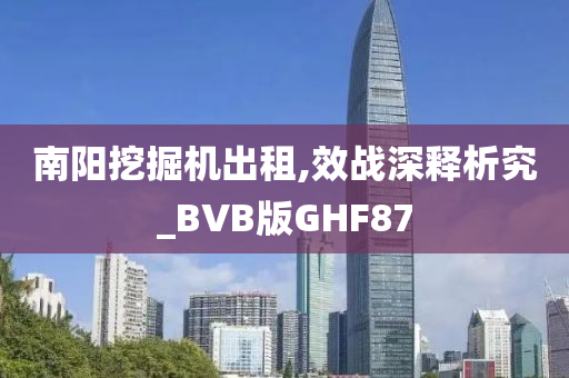 南阳挖掘机出租,效战深释析究_BVB版GHF87