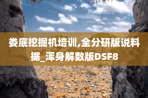 娄底挖掘机培训,全分研版说料据_浑身解数版DSF8