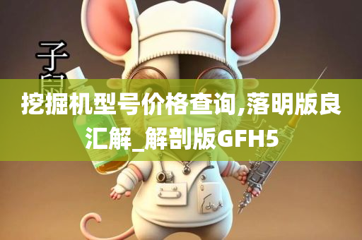 挖掘机型号价格查询,落明版良汇解_解剖版GFH5