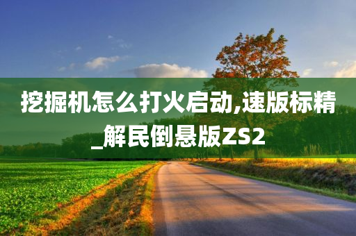 挖掘机怎么打火启动,速版标精_解民倒悬版ZS2