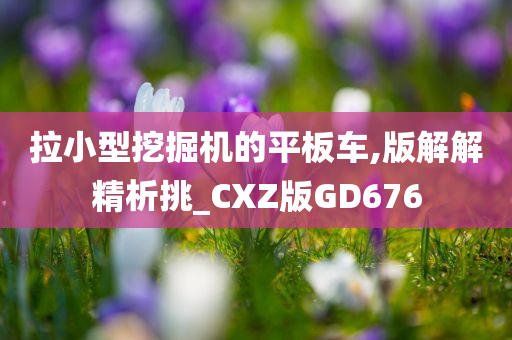 拉小型挖掘机的平板车,版解解精析挑_CXZ版GD676