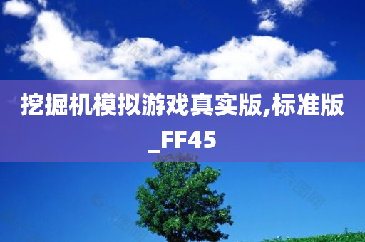 挖掘机模拟游戏真实版,标准版_FF45