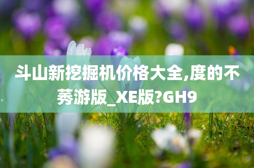 斗山新挖掘机价格大全,度的不莠游版_XE版?GH9