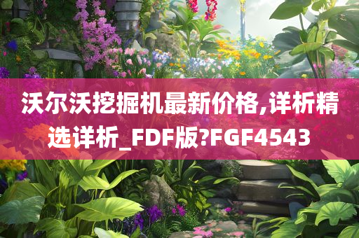 沃尔沃挖掘机最新价格,详析精选详析_FDF版?FGF4543