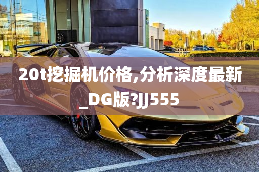 20t挖掘机价格,分析深度最新_DG版?JJ555