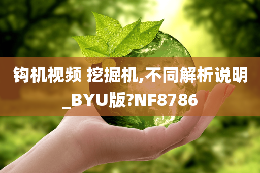 钩机视频 挖掘机,不同解析说明_BYU版?NF8786