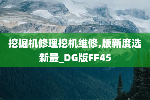 挖掘机修理挖机维修,版新度选新最_DG版FF45