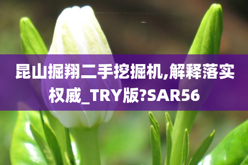 昆山掘翔二手挖掘机,解释落实权威_TRY版?SAR56