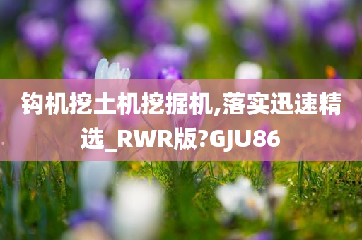 钩机挖土机挖掘机,落实迅速精选_RWR版?GJU86