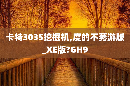 卡特3035挖掘机,度的不莠游版_XE版?GH9