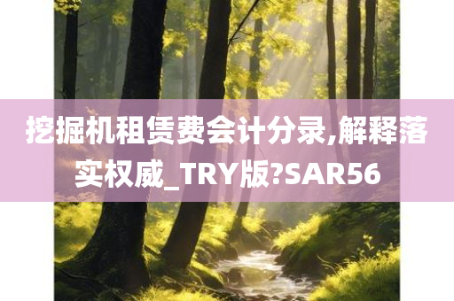 挖掘机租赁费会计分录,解释落实权威_TRY版?SAR56