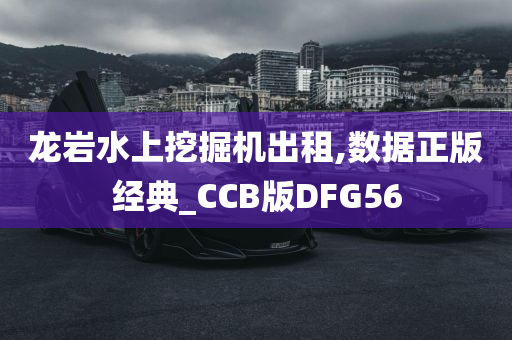 龙岩水上挖掘机出租,数据正版经典_CCB版DFG56