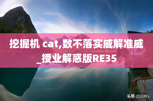 挖掘机 cat,数不落实威解准威_授业解惑版RE35