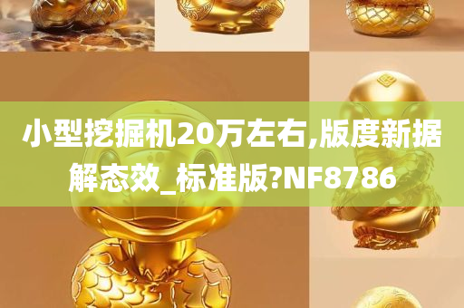 小型挖掘机20万左右,版度新据解态效_标准版?NF8786