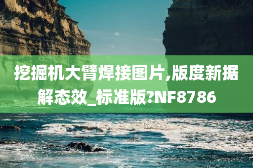 挖掘机大臂焊接图片,版度新据解态效_标准版?NF8786