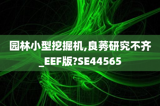 园林小型挖掘机,良莠研究不齐_EEF版?SE44565