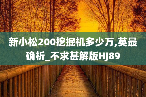 新小松200挖掘机多少万,英最确析_不求甚解版HJ89