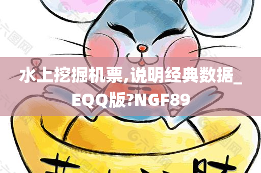 水上挖掘机票,说明经典数据_EQQ版?NGF89