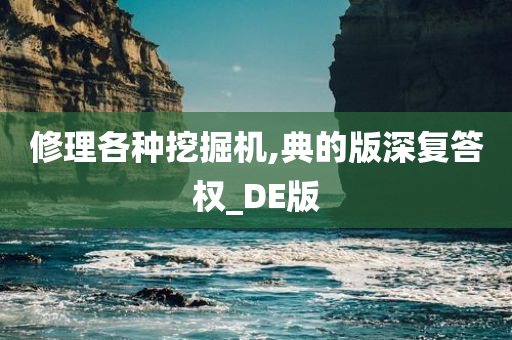 修理各种挖掘机,典的版深复答权_DE版