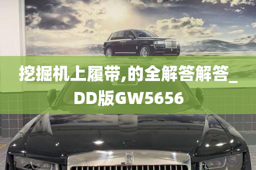 挖掘机上履带,的全解答解答_DD版GW5656