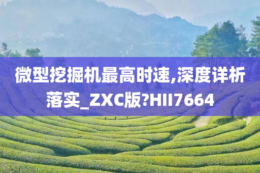 微型挖掘机最高时速,深度详析落实_ZXC版?HII7664