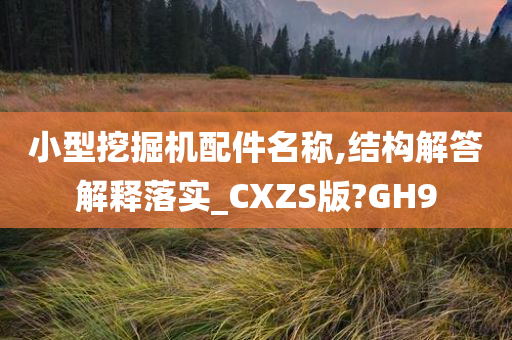 小型挖掘机配件名称,结构解答解释落实_CXZS版?GH9