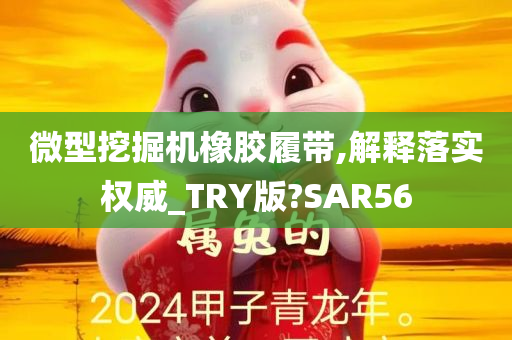 微型挖掘机橡胶履带,解释落实权威_TRY版?SAR56