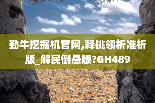 勤牛挖掘机官网,释挑领析准析版_解民倒悬版?GH489