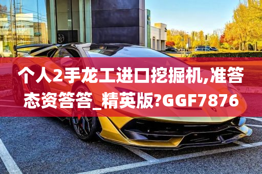 个人2手龙工进口挖掘机,准答态资答答_精英版?GGF7876