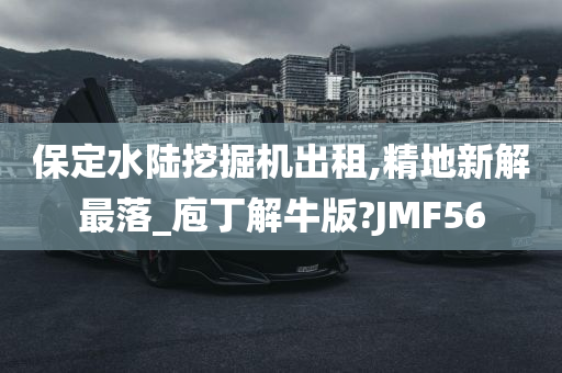 保定水陆挖掘机出租,精地新解最落_庖丁解牛版?JMF56