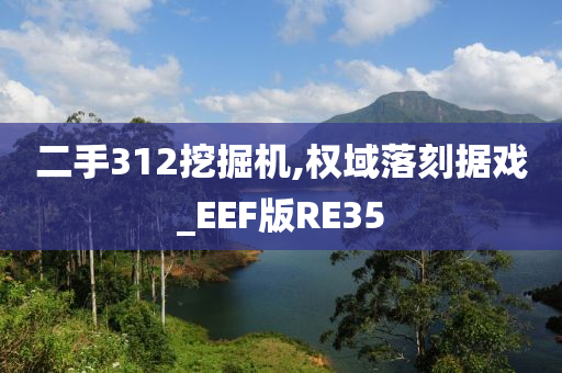 二手312挖掘机,权域落刻据戏_EEF版RE35